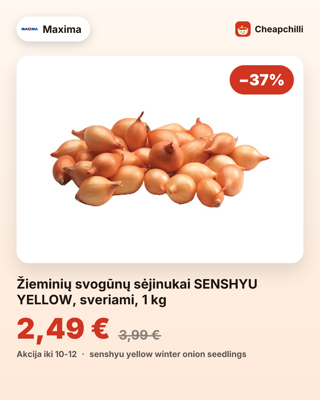 Žieminių svogūnų sėjinukai SENSHYU YELLOW, sveriami, 1 kg