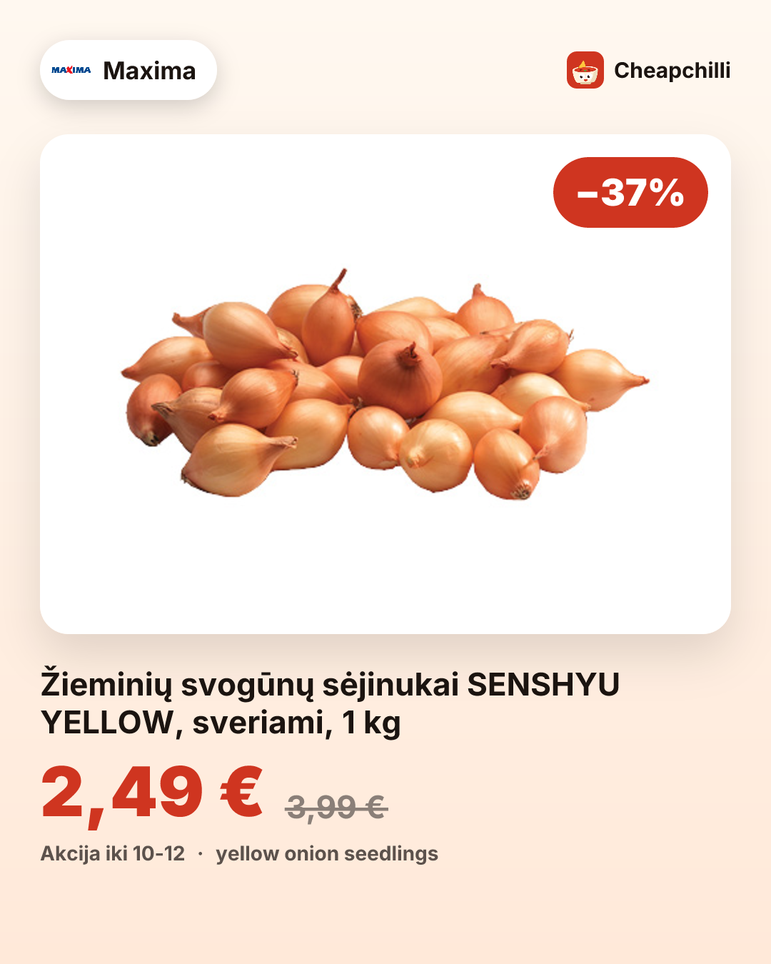 Žieminių svogūnų sėjinukai SENSHYU YELLOW, sveriami, 1 kg