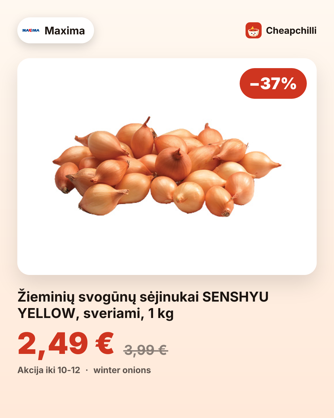 Žieminių svogūnų sėjinukai SENSHYU YELLOW, sveriami, 1 kg